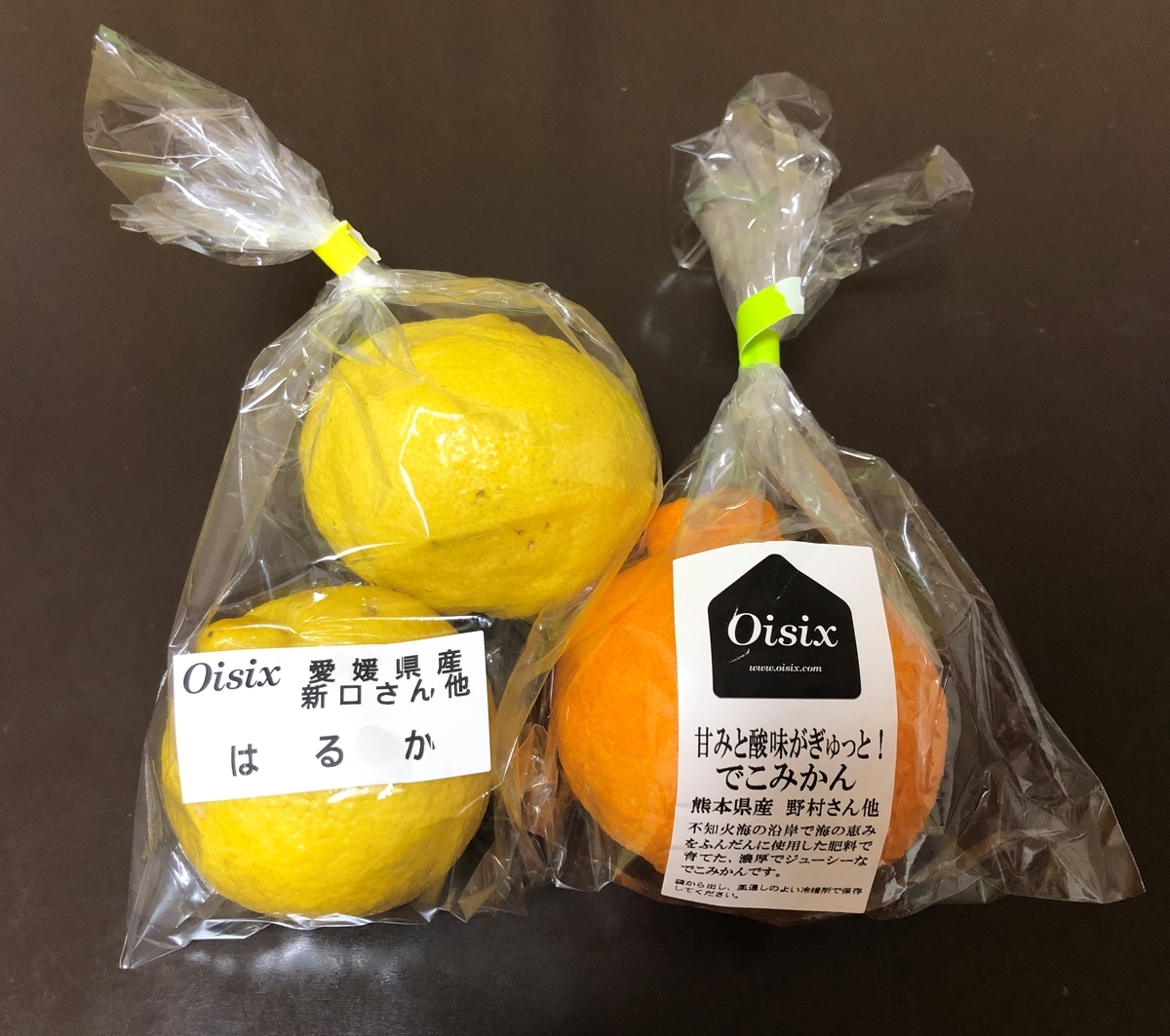 f:id:harurule:20200308185858j:plain f:id:harurule:20200308185858j:plain