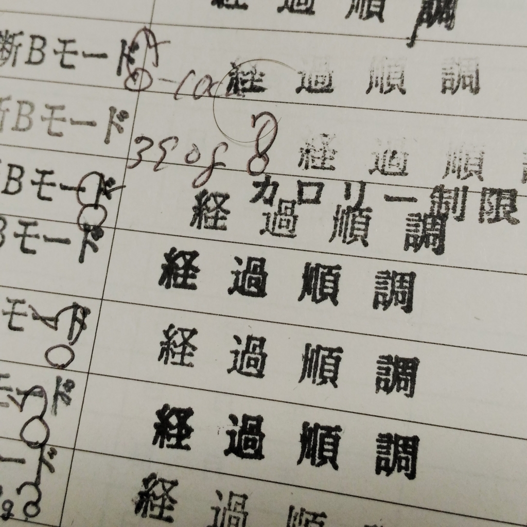 妊娠後期