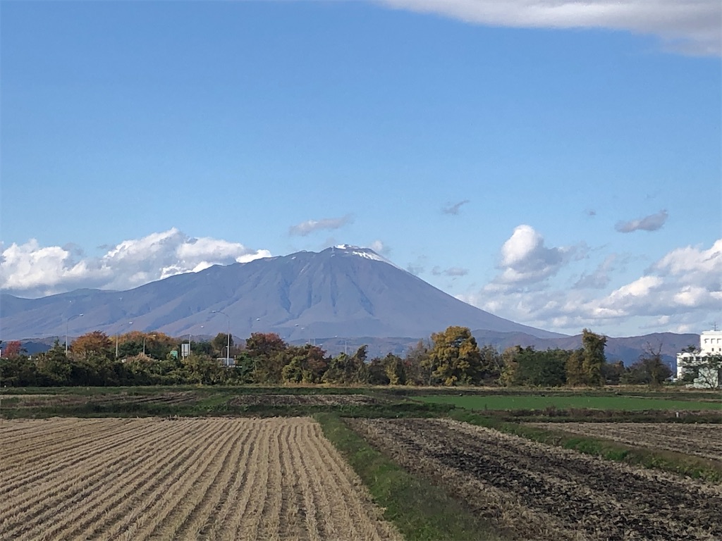 f:id:harusakikai:20201105215213j:plain