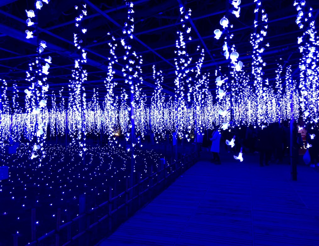 f:id:harusakikai:20201229111946j:plain
