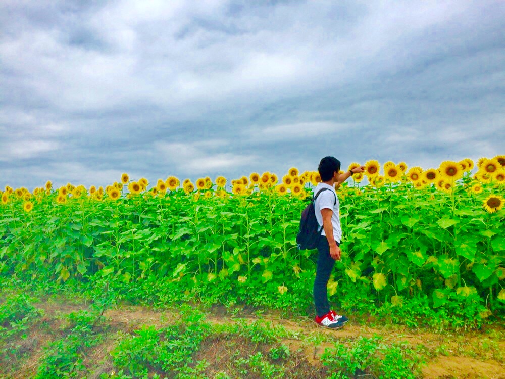 f:id:harusameonabe:20180828033518j:plain f:id:harusameonabe:20180828033518j:plain