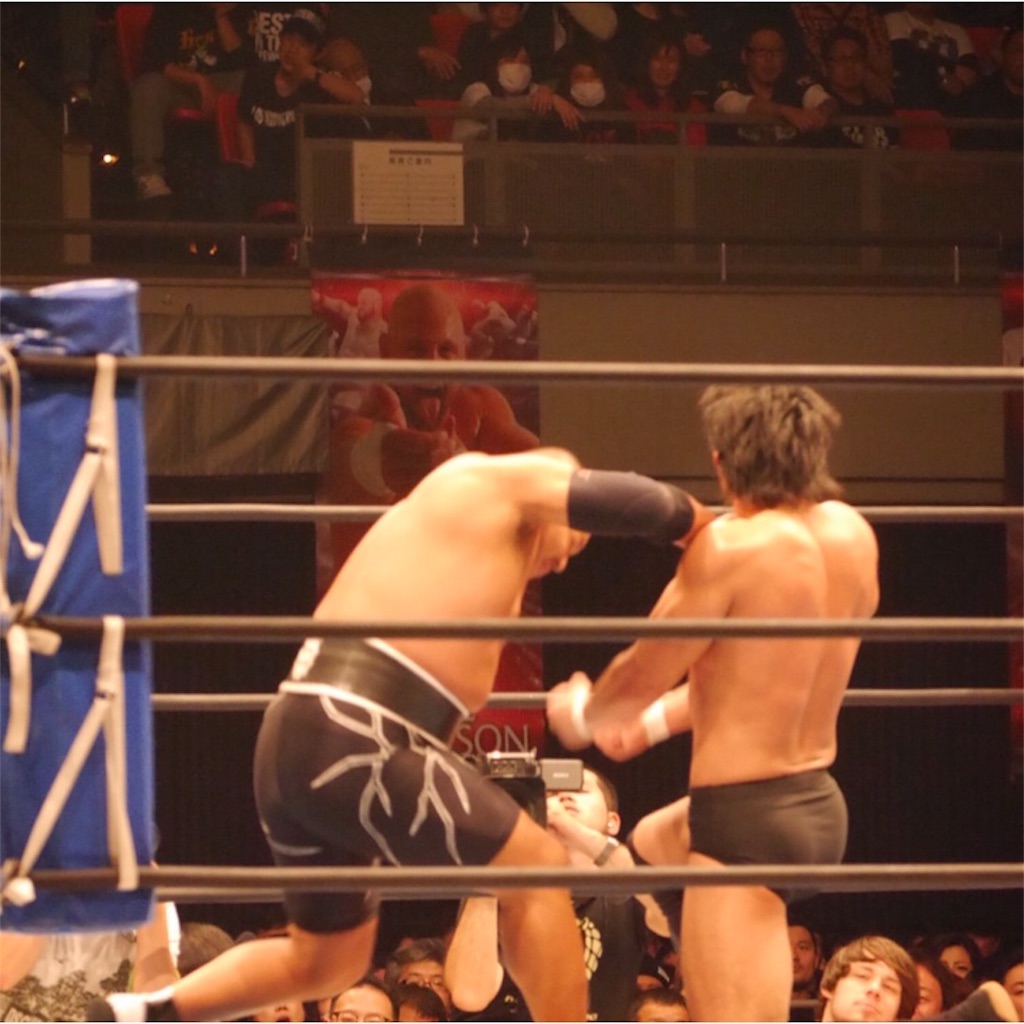 f:id:harusametsubame:20190225223256j:image