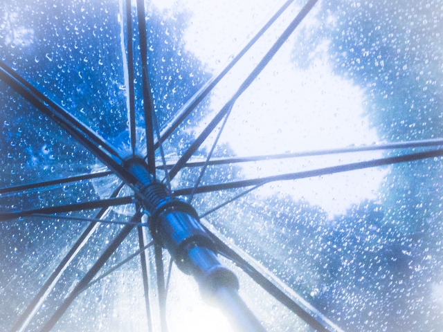 アイネクライネ 米津玄師 を歌詞考察してみた 52hzはクジラの足跡になるのか