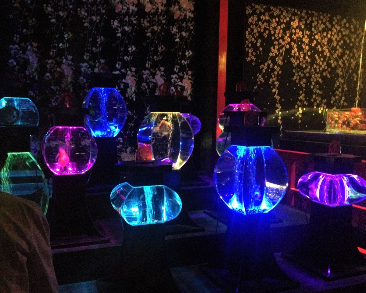 f:id:harushira323:20190705143615j:plain f:id:harushira323:20190705143615j:plain