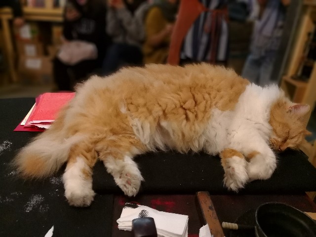 f:id:harusoya:20180127223503j:image f:id:harusoya:20180127223503j:image