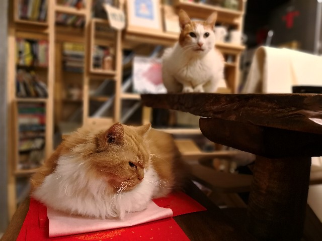 f:id:harusoya:20180127223535j:image f:id:harusoya:20180127223535j:image