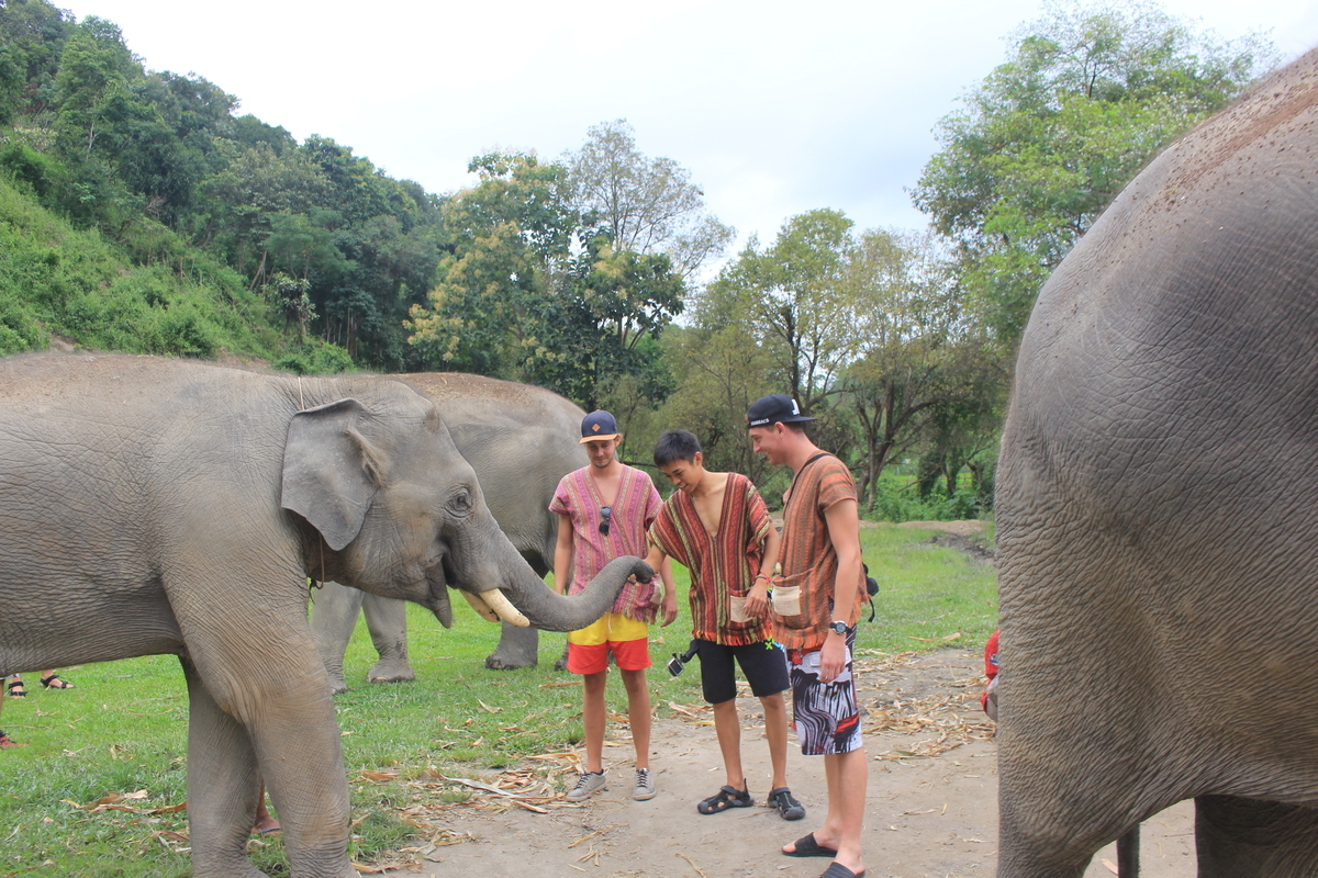 f:id:haruto_kaigai:20180825111240j:plain