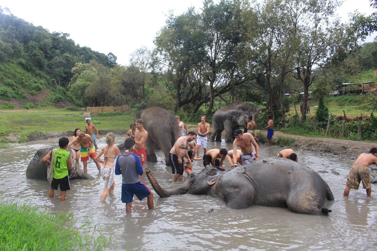 f:id:haruto_kaigai:20180825140337j:plain