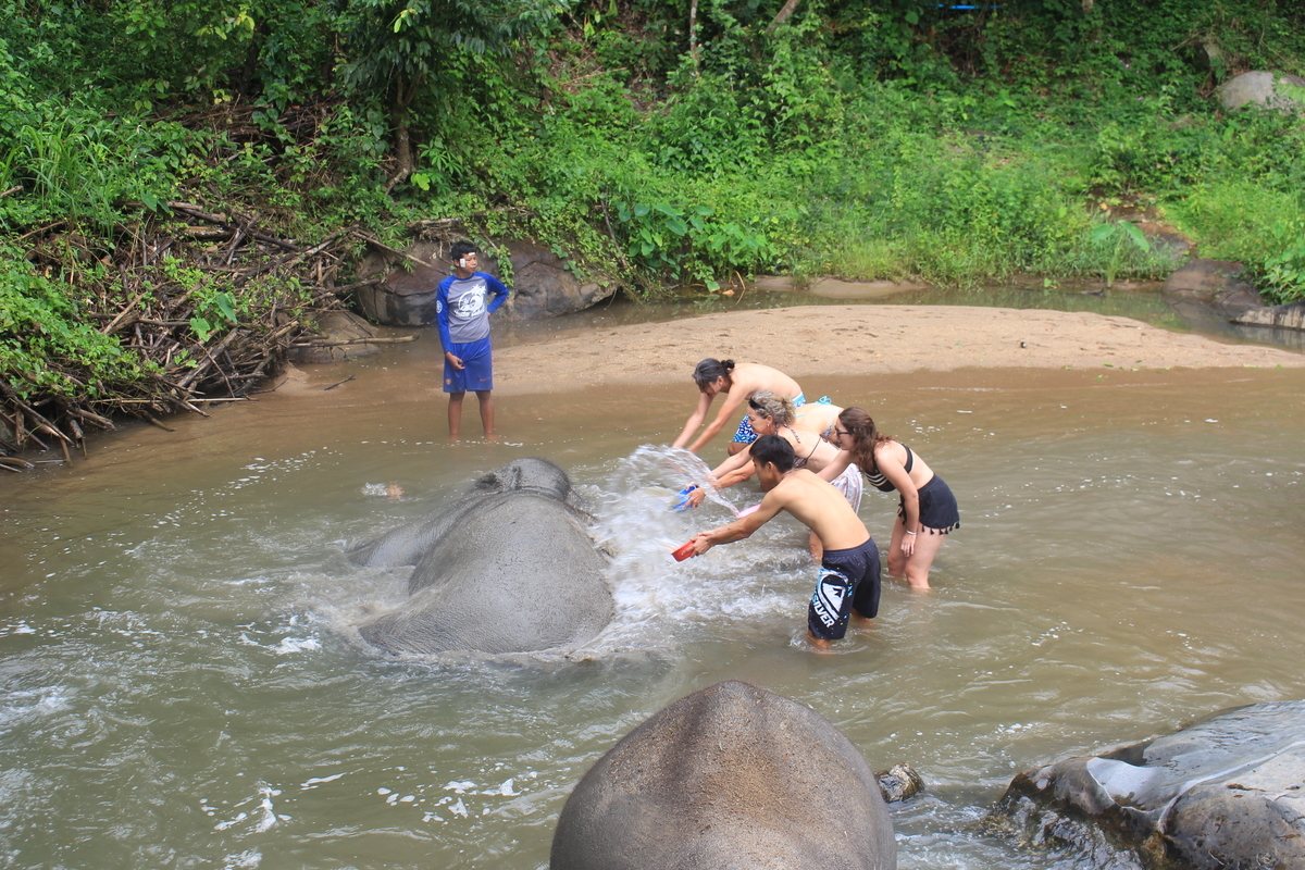 f:id:haruto_kaigai:20180825141029j:plain