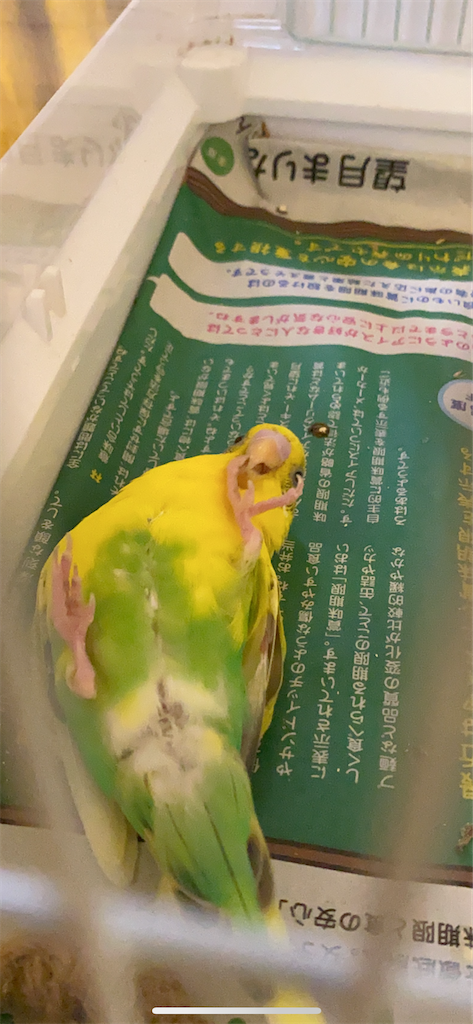 f:id:harutyanndaisukika:20200522100044p:image f:id:harutyanndaisukika:20200522100044p:image
