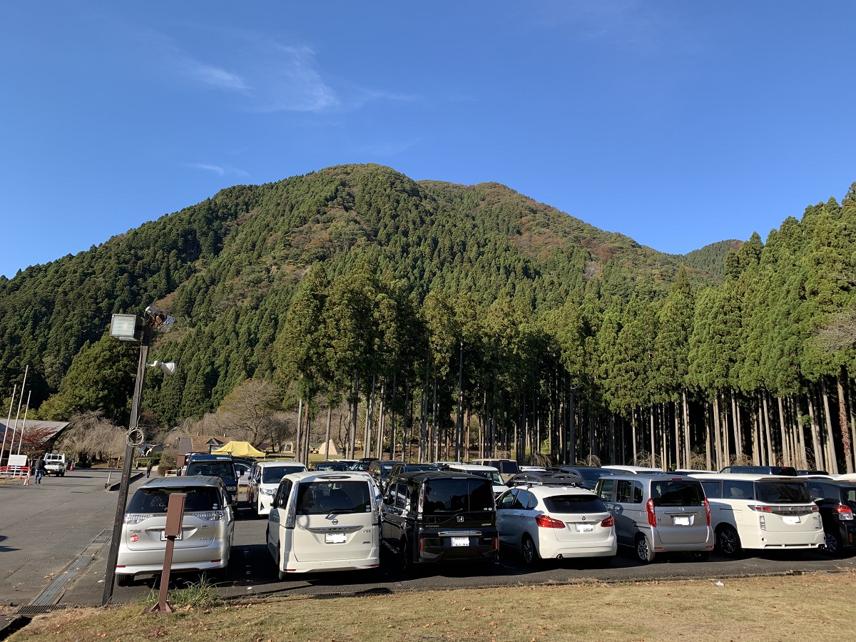 f:id:haruu_k:20211118002118j:plain