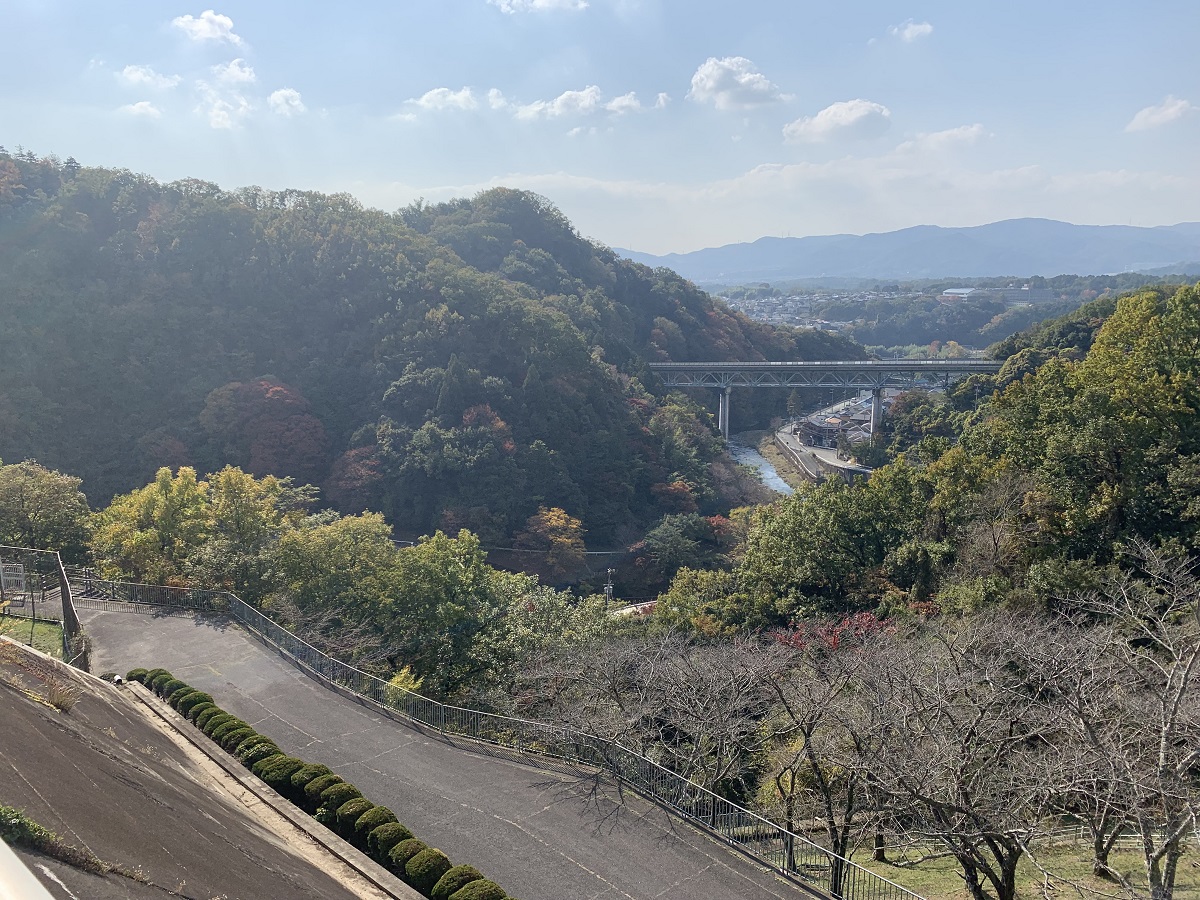 f:id:haruu_k:20211119014643j:plain