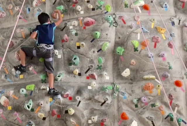 f:id:haruusagi_kyo:20161129191337j:plain f:id:haruusagi_kyo:20161129191337j:plain