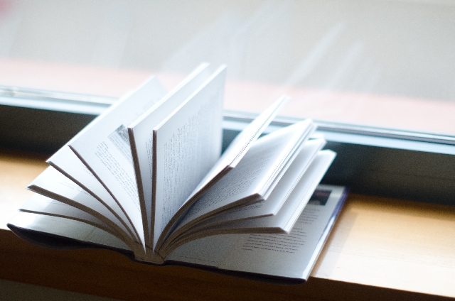 f:id:haruusagi_kyo:20161212095304j:plain f:id:haruusagi_kyo:20161212095304j:plain