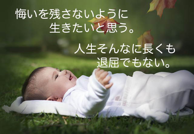 f:id:haruusagi_kyo:20180310204513j:plain