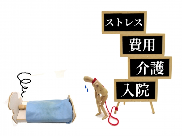 f:id:haruusagi_kyo:20190116191005j:plain