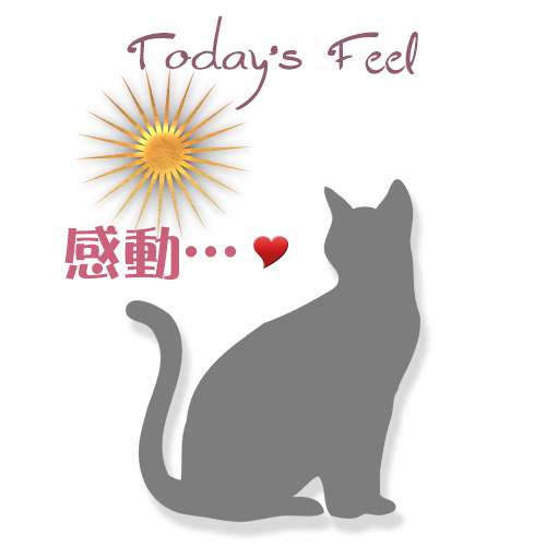 f:id:haruusagi_kyo:20190207190025j:plain f:id:haruusagi_kyo:20190207190025j:plain