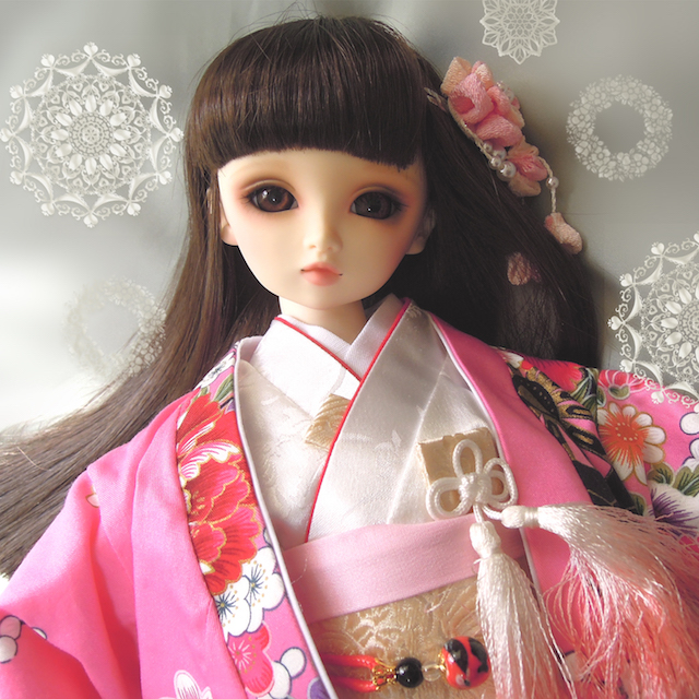 f:id:haruusagi_kyo:20190224130539j:plain