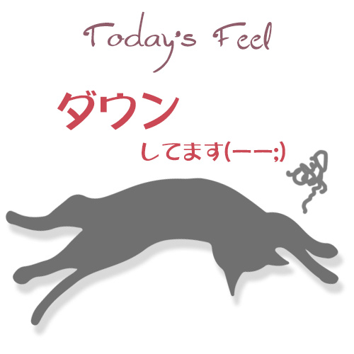 f:id:haruusagi_kyo:20190301185416j:plain
