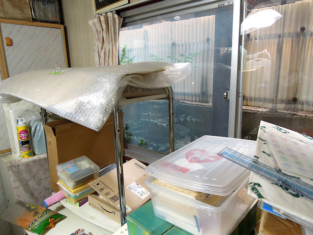 f:id:haruusagi_kyo:20190330192134j:plain f:id:haruusagi_kyo:20190330192134j:plain