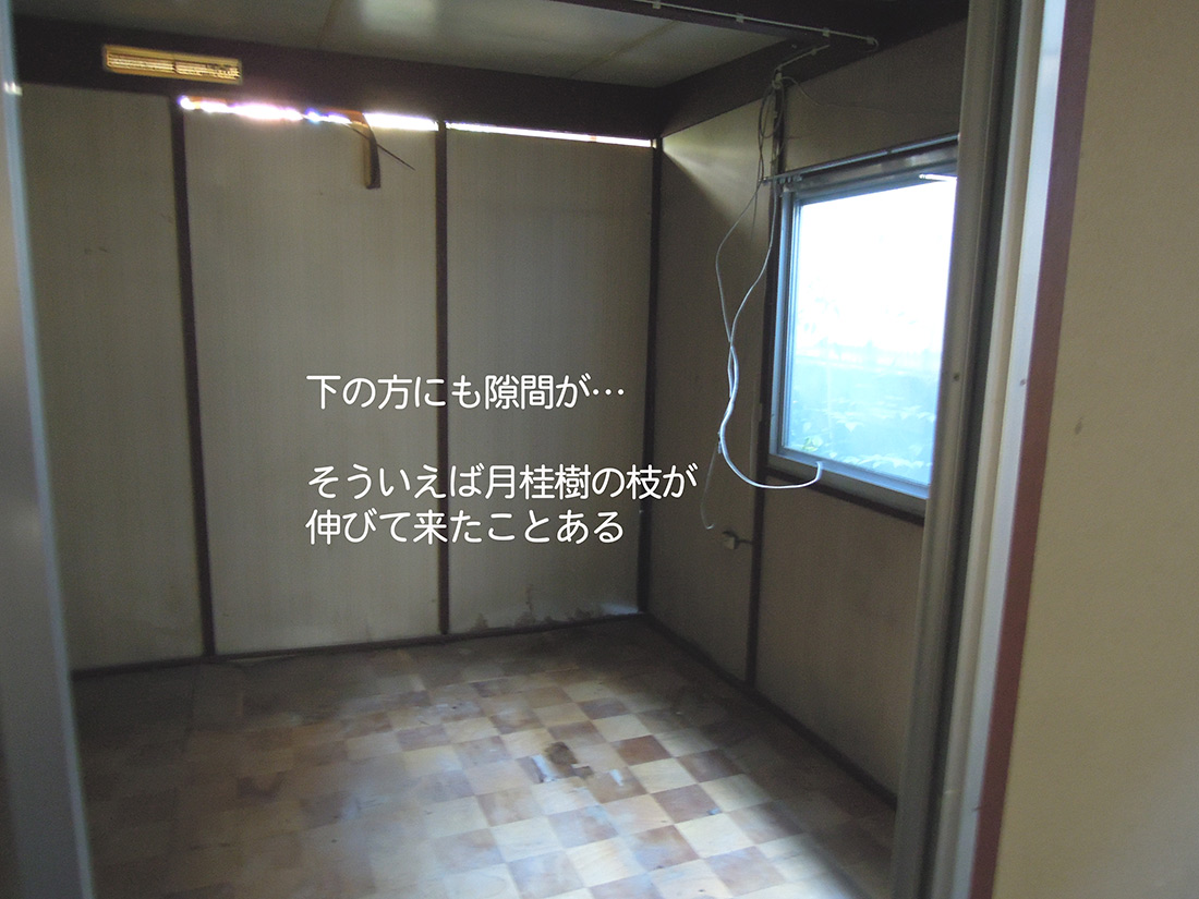 f:id:haruusagi_kyo:20191220172926j:plain