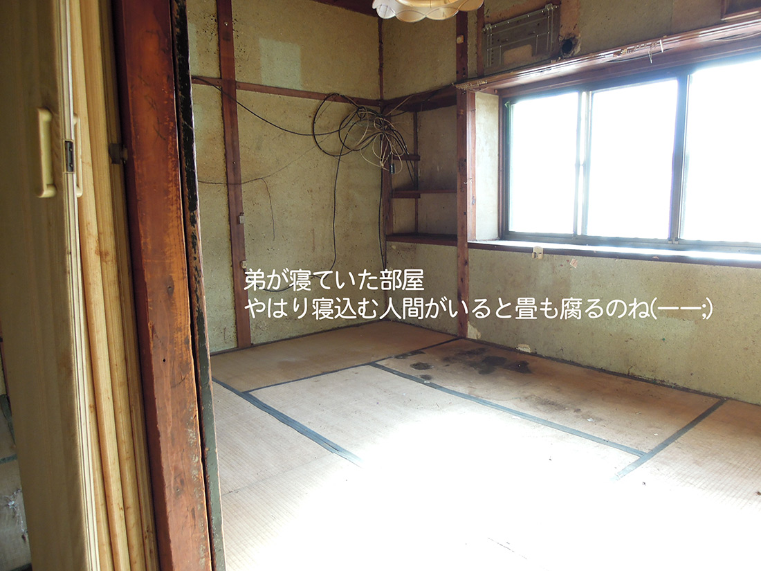f:id:haruusagi_kyo:20191220173043j:plain