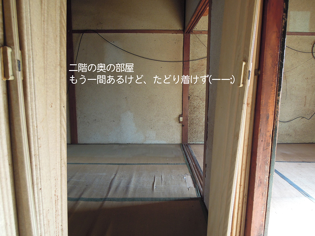 f:id:haruusagi_kyo:20191220173101j:plain