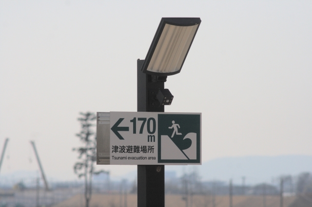 f:id:haruusagi_kyo:20200301151627j:plain
