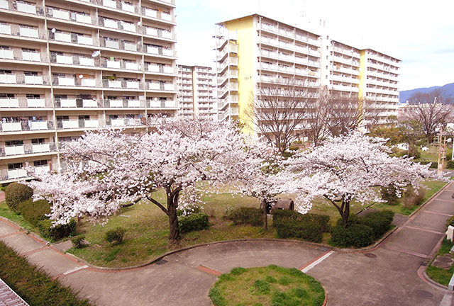 f:id:haruusagi_kyo:20200330073823j:plain
