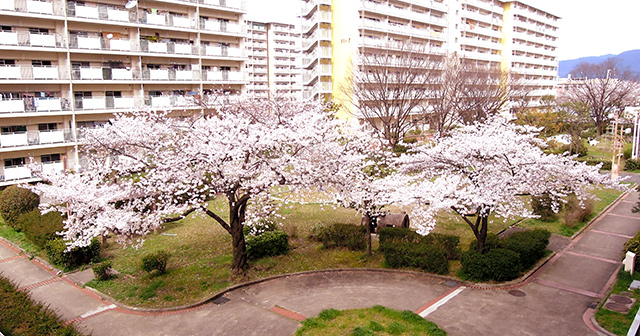 f:id:haruusagi_kyo:20200330073901j:plain