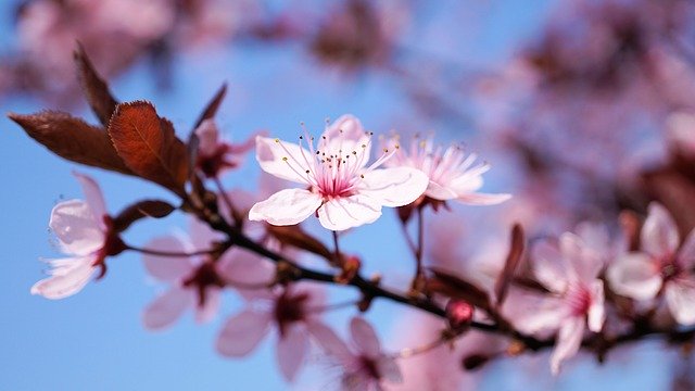 f:id:haruusagi_kyo:20200405203610j:plain f:id:haruusagi_kyo:20200405203610j:plain