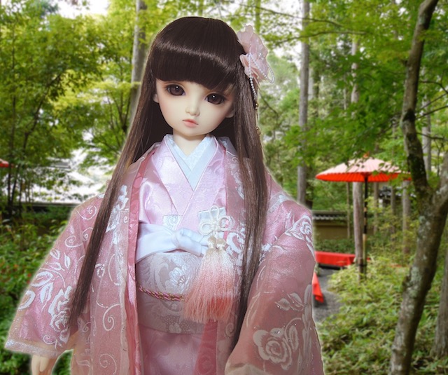 f:id:haruusagi_kyo:20200430080329j:plain