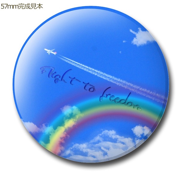 f:id:haruusagi_kyo:20200609075128j:plain