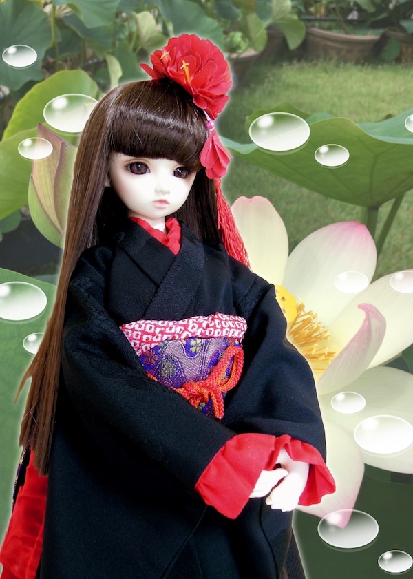 f:id:haruusagi_kyo:20200718065806j:plain
