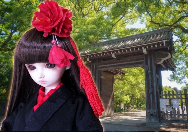 f:id:haruusagi_kyo:20200718112604j:plain
