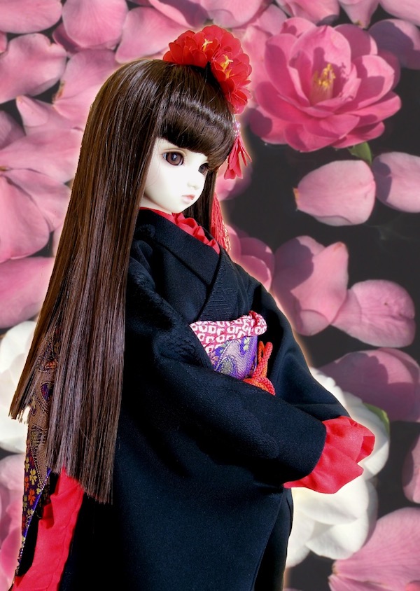 f:id:haruusagi_kyo:20200718112803j:plain
