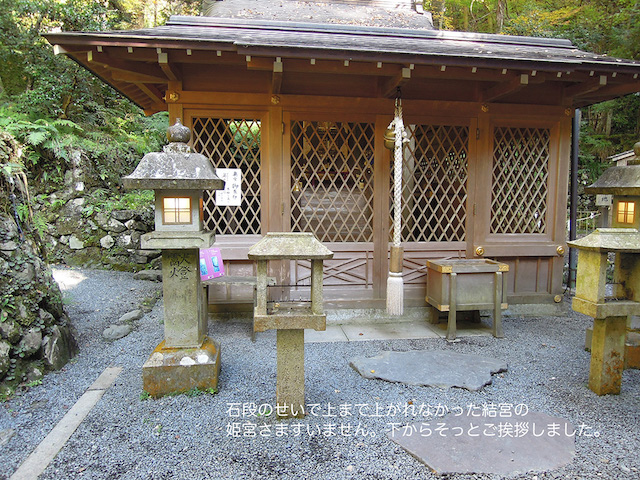 f:id:haruusagi_kyo:20201105172432j:plain f:id:haruusagi_kyo:20201105172432j:plain