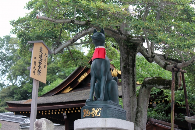 f:id:haruusagi_kyo:20201119064241j:plain