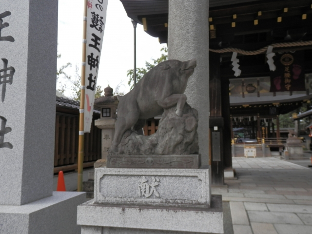 f:id:haruusagi_kyo:20201217192519j:plain