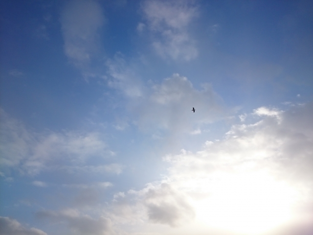 f:id:haruusagi_kyo:20210130200939j:plain
