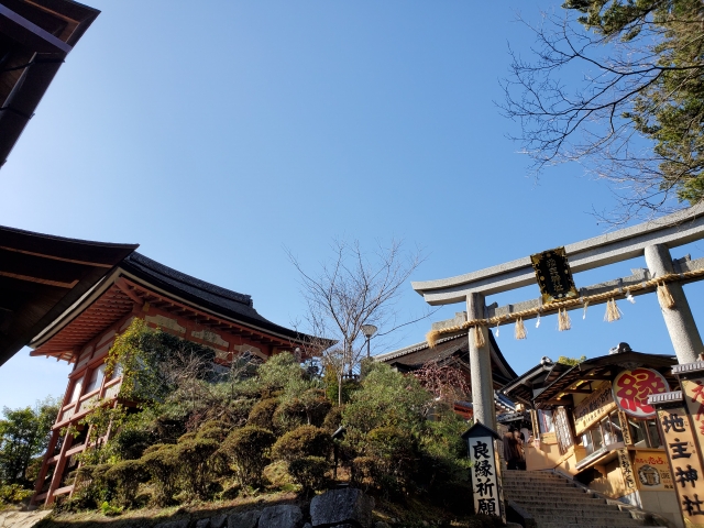 f:id:haruusagi_kyo:20210317184343j:plain