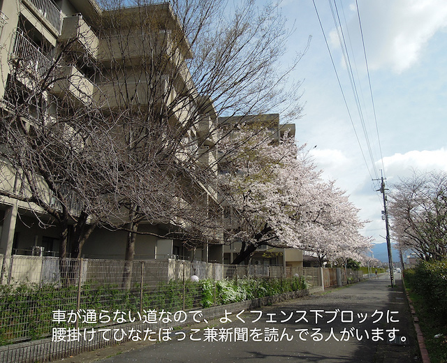 f:id:haruusagi_kyo:20210322185244j:plain