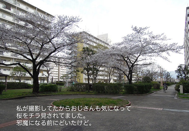 f:id:haruusagi_kyo:20210322185334j:plain