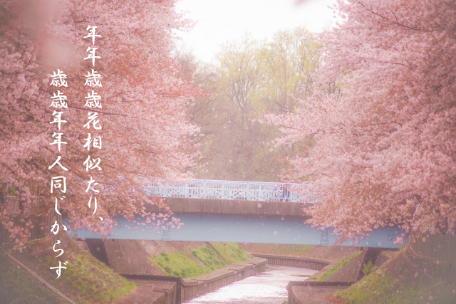 f:id:haruusagi_kyo:20210329152111j:plain