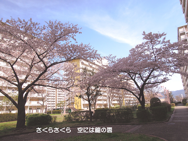 f:id:haruusagi_kyo:20220410174528j:plain