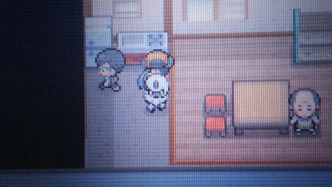 ポケモンhgss ハルヤのポケモン日記3日目 厨ポケが仲間に ハルヤのゲームブログ