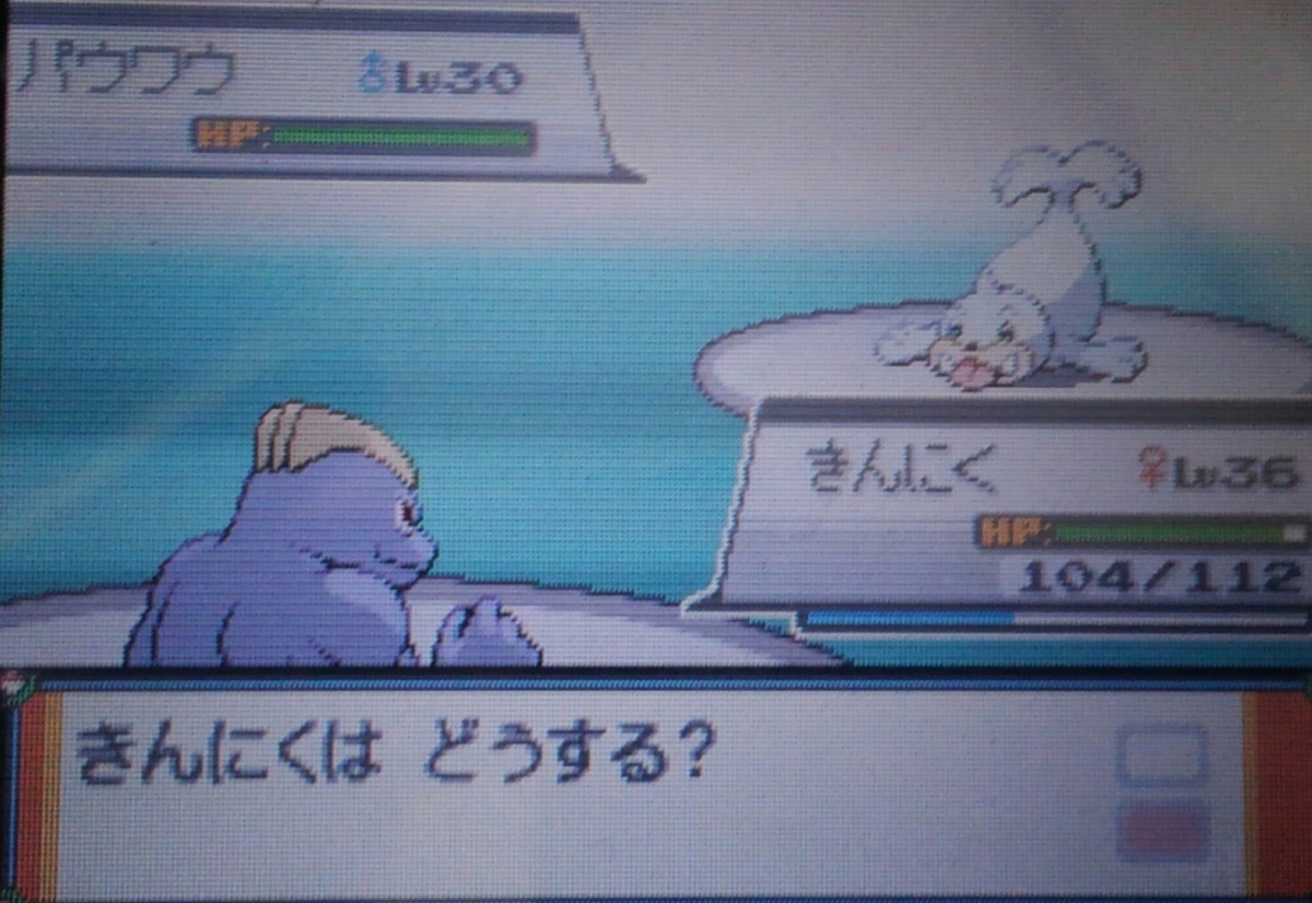 ポケモンhgss ハルヤのポケモン日記18日目 Vsヤナギ ハルヤのゲームブログ