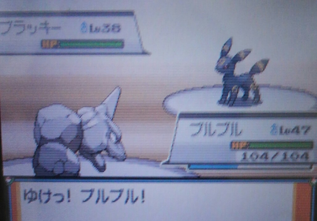 ポケモンhgss ハルヤのポケモン日記23日目 Vs舞妓さん ハルヤの雑記ブログ