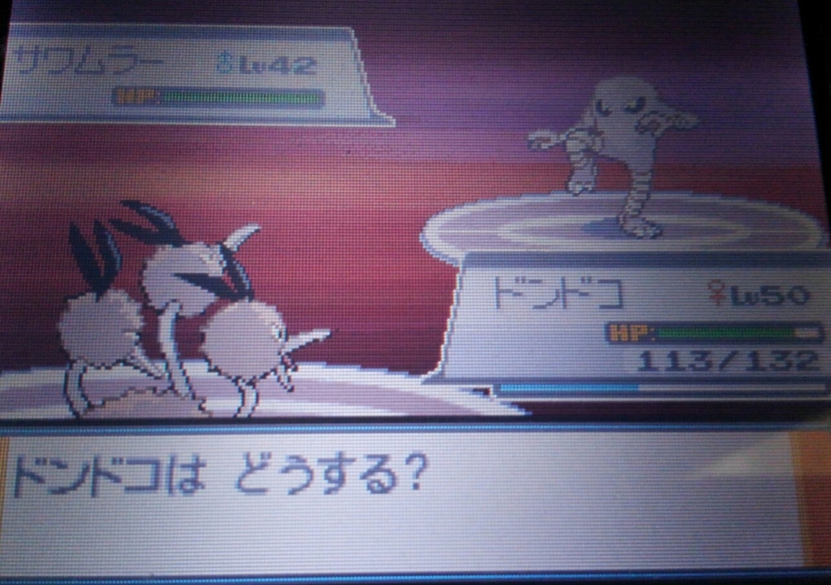 ポケモンhgss ハルヤのポケモン日記28日目 Vsシバ ハルヤのゲームブログ