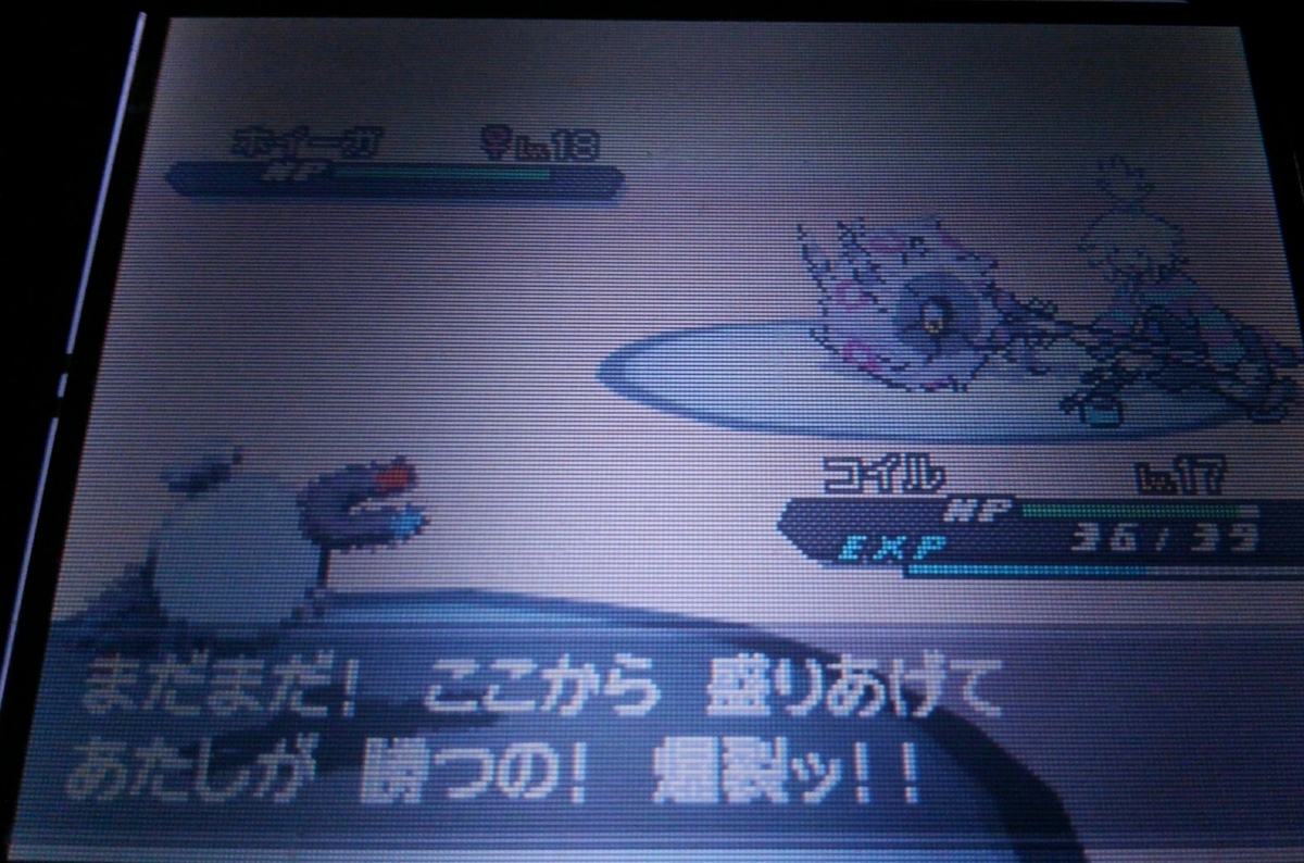 ポケモンbw2 ハルヤのポケモン日記3rd 5日目 Vsホミカ ハルヤの雑記ブログ